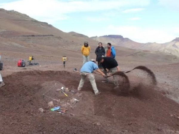 Patagonia: Hallan fósiles del mamífero más grande que haya vivido con los dinosaurios