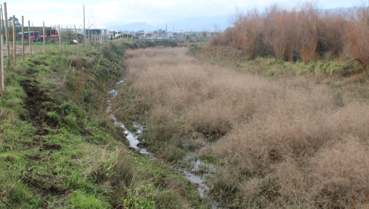 /municipio-refuerza-medidas-preventivas-en-villa-la-esperanza-tras-sistema
