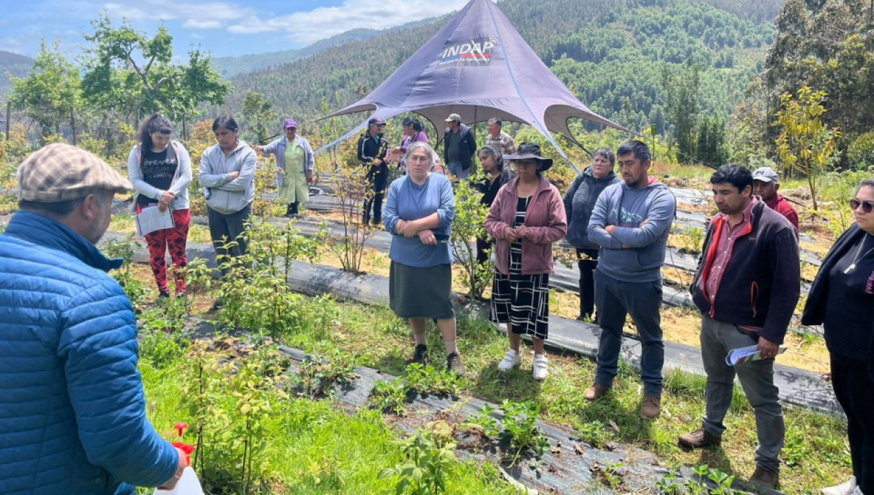 /provincia-de-arauco/contulmo/agricultores-participaron-de-practica-sobre-cuidado-y-mantenimiento-de-sus