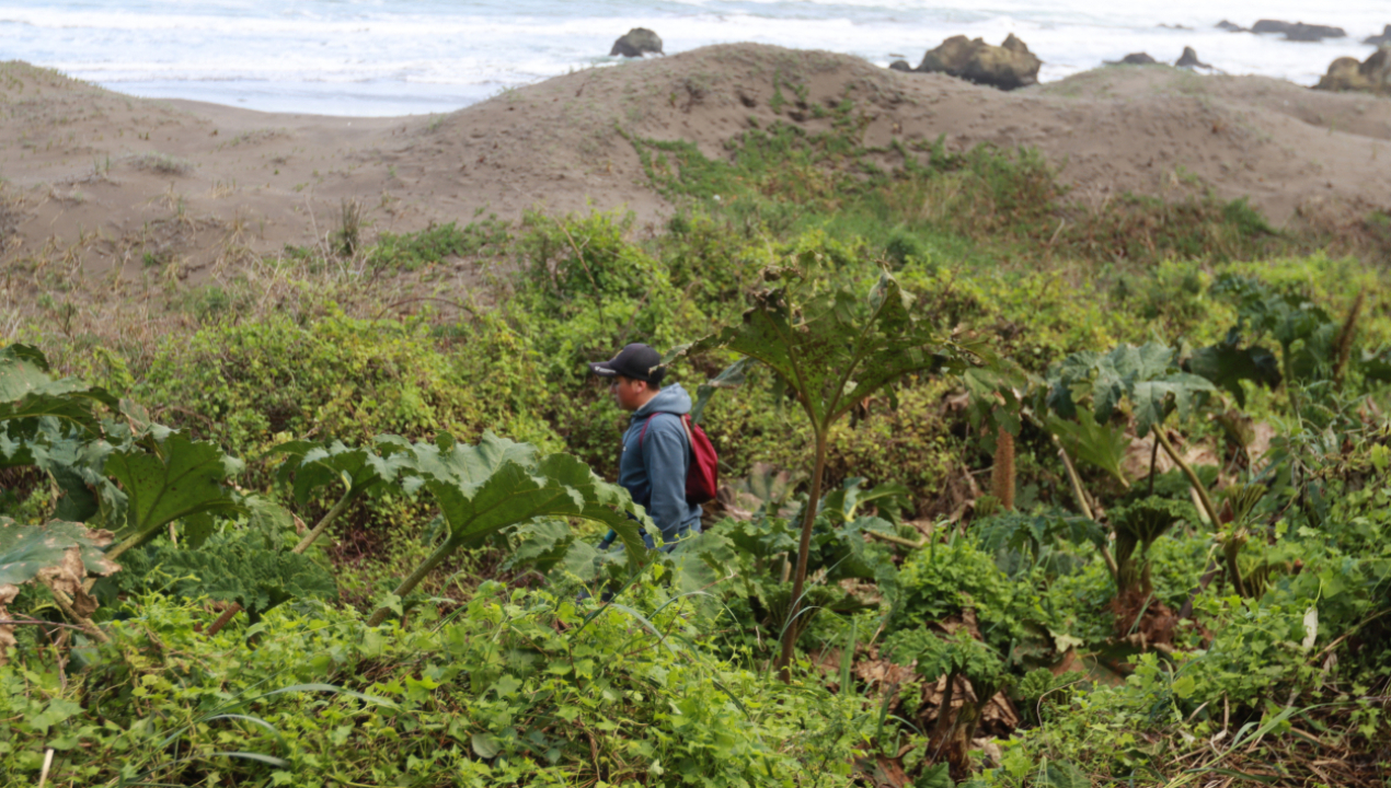 /agrupaciones-de-recolectores-del-biobio-se-encuentran-para-intercambiar