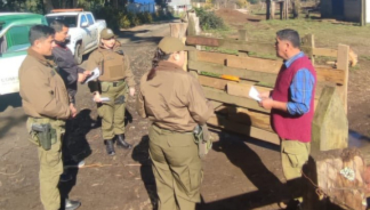 /lanzan-campana-informativa-para-prevenir-el-delito-de-abigeato-en-lebu