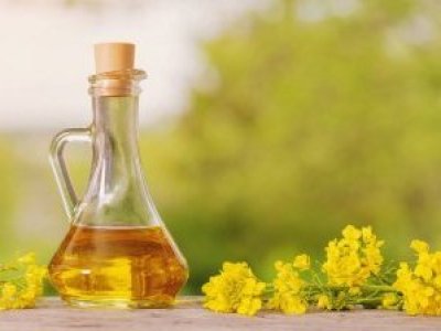 Conoce los beneficios del aceite de canola para tu salud