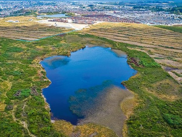 Puerto Montt: Microbasural amenaza al humedal Llantén