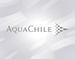 banner aquachile