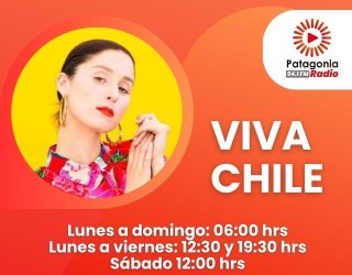 banner viva chile