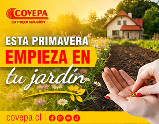 BANNE COVEPA