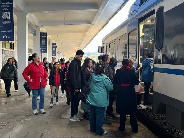 Puerto Varas: vecinos preocupados por deslizamientos de tierra provocados por el paso del tren