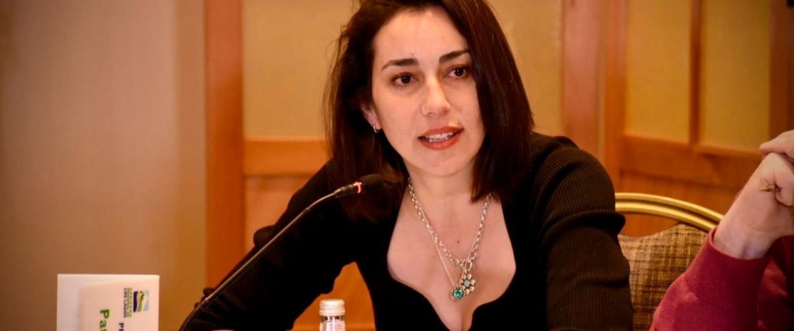 Seremi Rada aclara su rol tras críticas de Provincial Osorno: “La decisión sobre el aforo la toma la Delegación Presidencial”