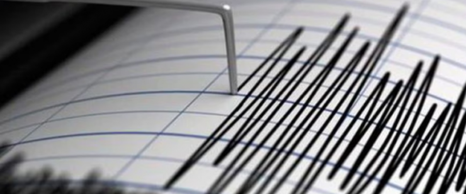 Sismo de magnitud 3,8 se registra frente a las costas de Bahía Mansa