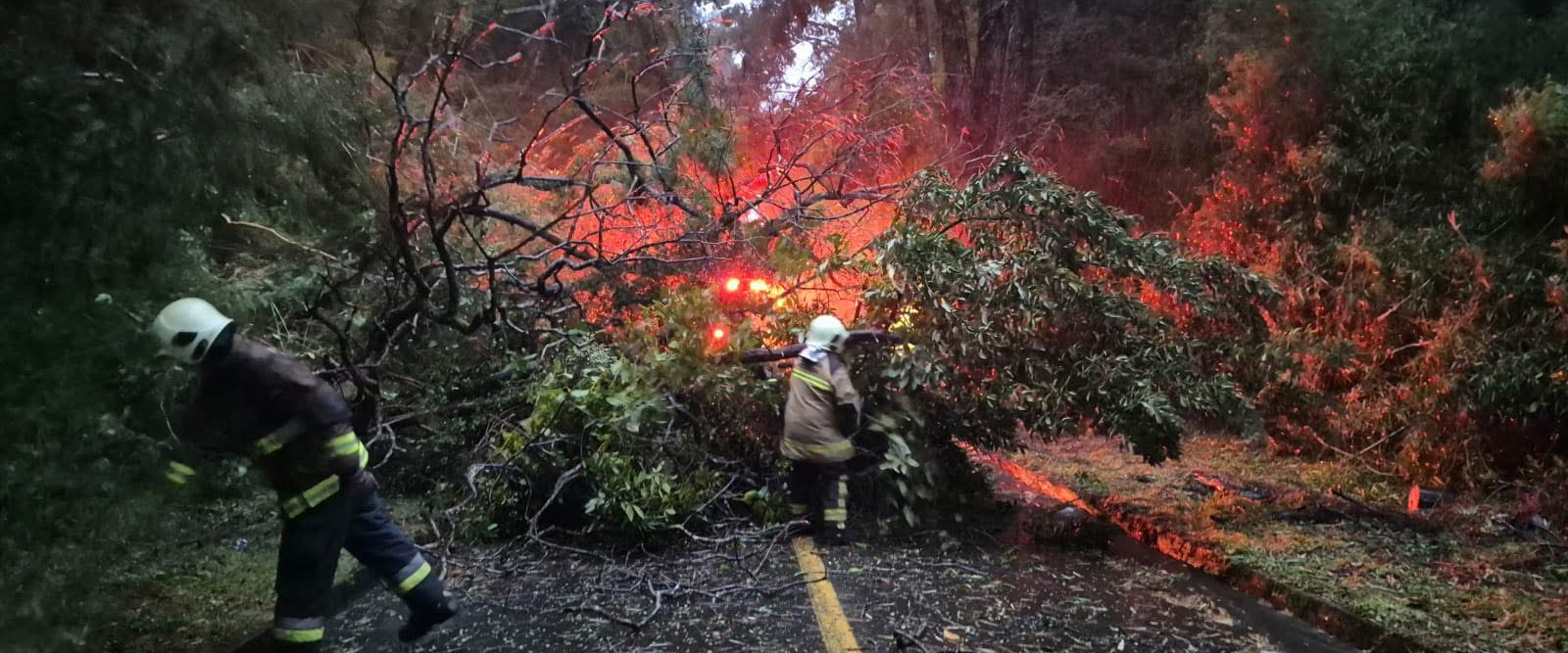 Fuerte viento derriba árboles y bloquea ruta al Volcán Osorno en Puerto Varas