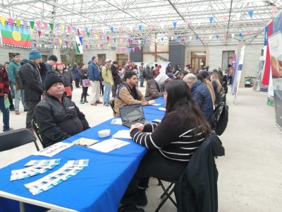 Desempleo en la Región de Los Lagos marca 6,4% y preocupa caída en sectores clave como agricultura y transporte