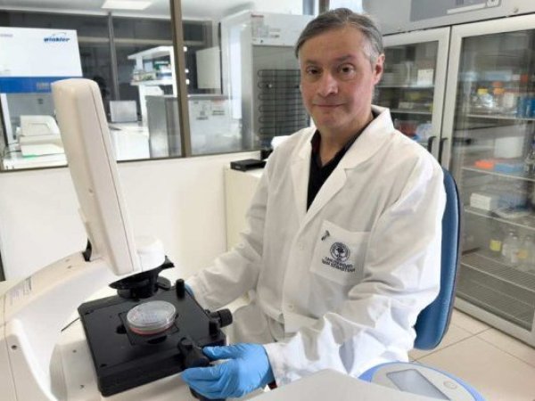 Puerto Montt: Científico chileno halla vínculo entre microplásticos y cáncer de mama