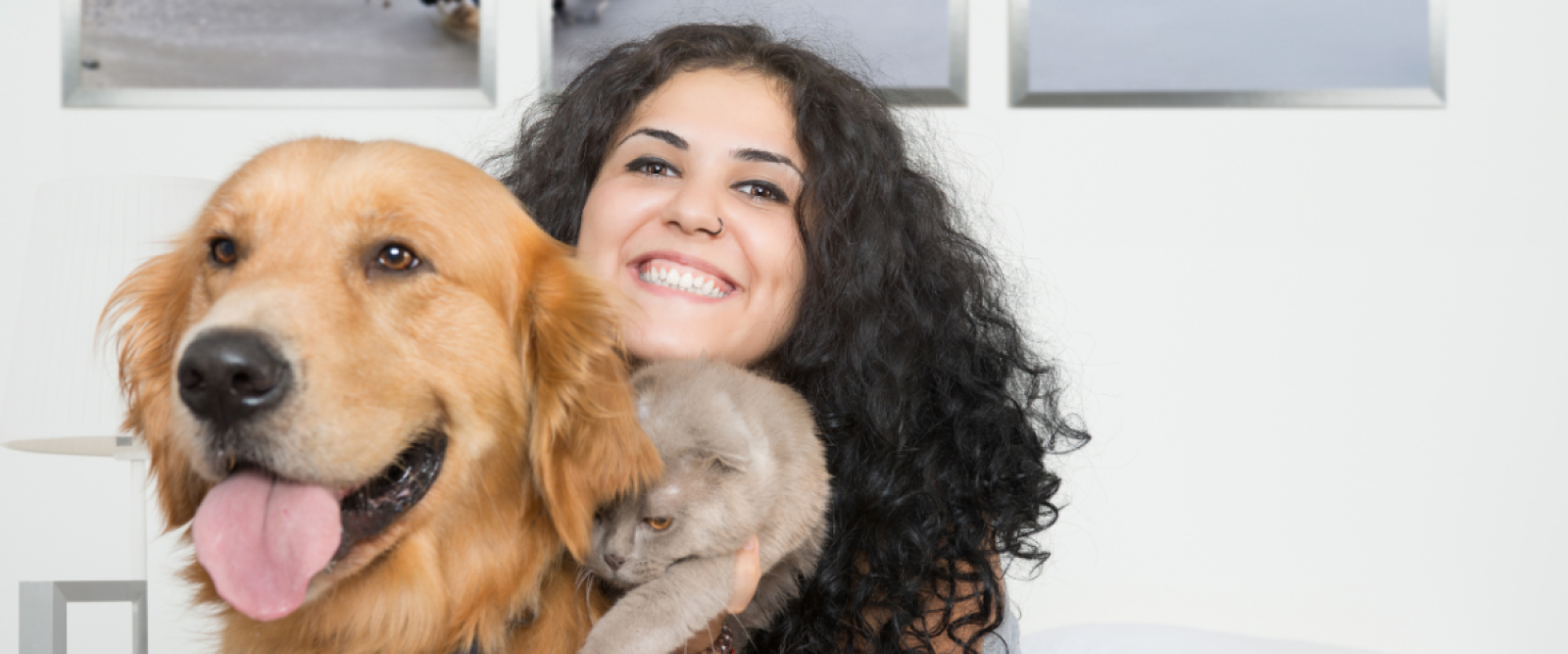 Expo Mundo Mascotas 2025: el evento pet-friendly más importante de la región llega a Arena Puerto Montt este fin de semana