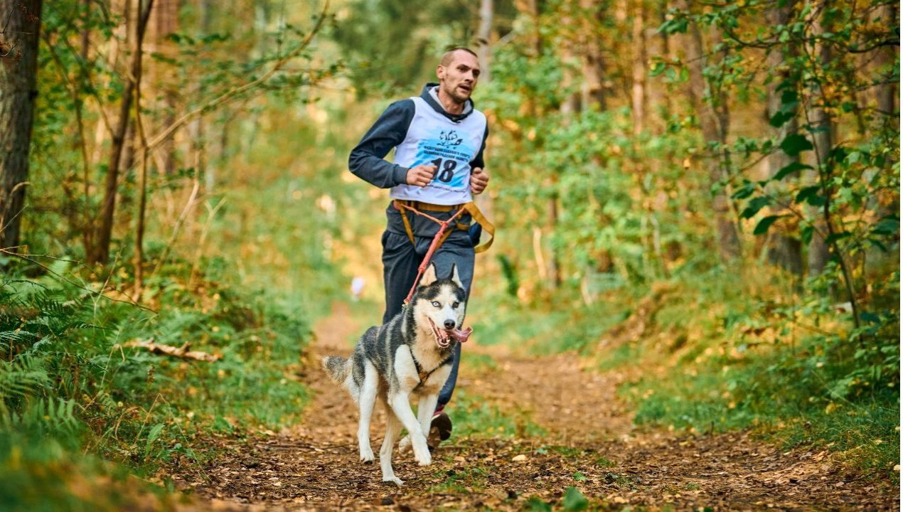 /local/puerto-montt-corre-por-los-animales-corrida-con-mascotas-reunira-fondos