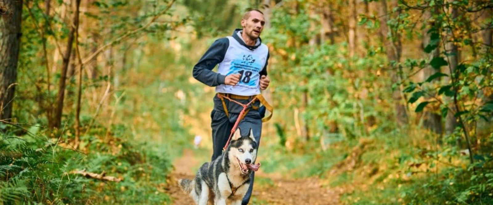 Puerto Montt corre por los animales: corrida con mascotas reunirá fondos para Patitas de Amor