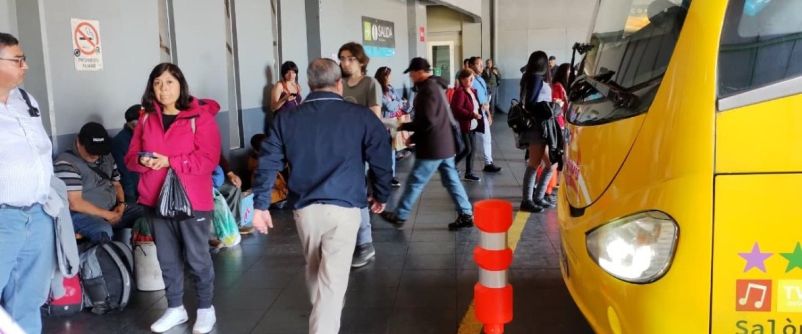 Municipalidad de Puerto Montt presenta querella por amenazas de muerte contra funcionaria del Terminal de Buses