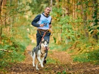 Puerto Montt corre por los animales: corrida con mascotas reunirá fondos para Patitas de Amor