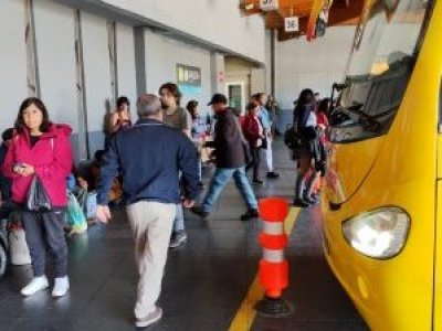 Municipalidad de Puerto Montt presenta querella por amenazas de muerte contra funcionaria del Terminal de Buses