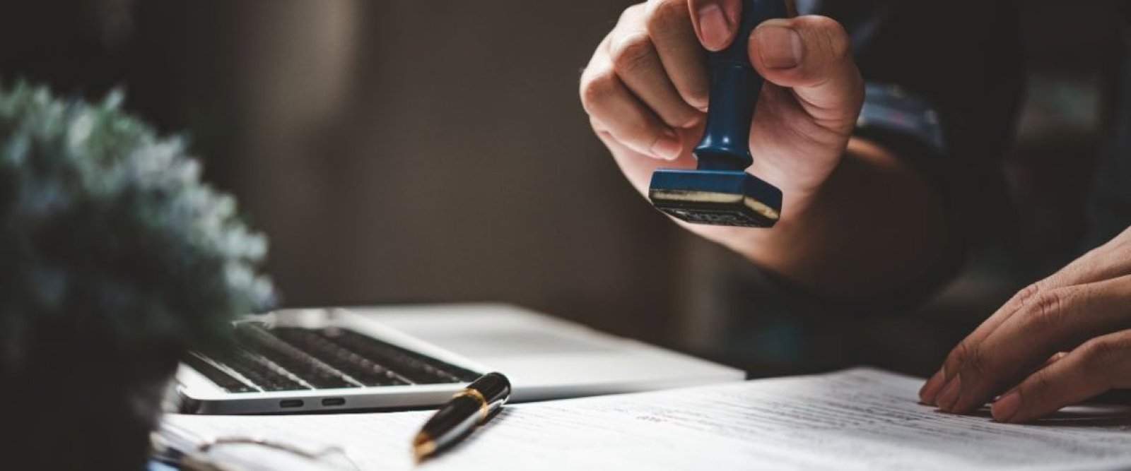 Presentan querella en contra de notario de Puerto Varas y de abogado imputado por caso “Muñeca Bielorrusa” por presunto fraude en quiebra de empresa