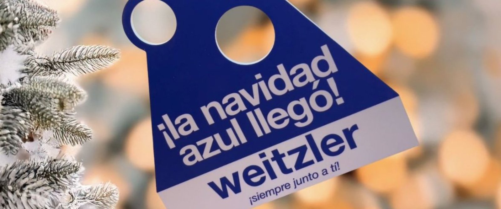 Weitzler presenta su “Navidad Azul” en Puerto Montt: una invitación a vivir las fiestas con calma y sentido regional