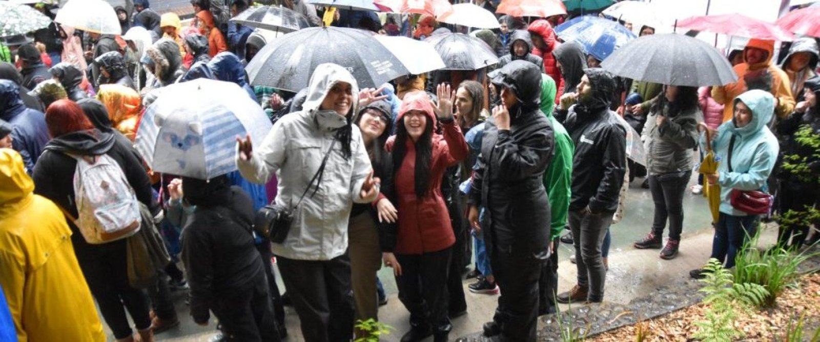 La magia del sur venció a la lluvia en el XI Festival Carnaval del Sur en Puerto Varas