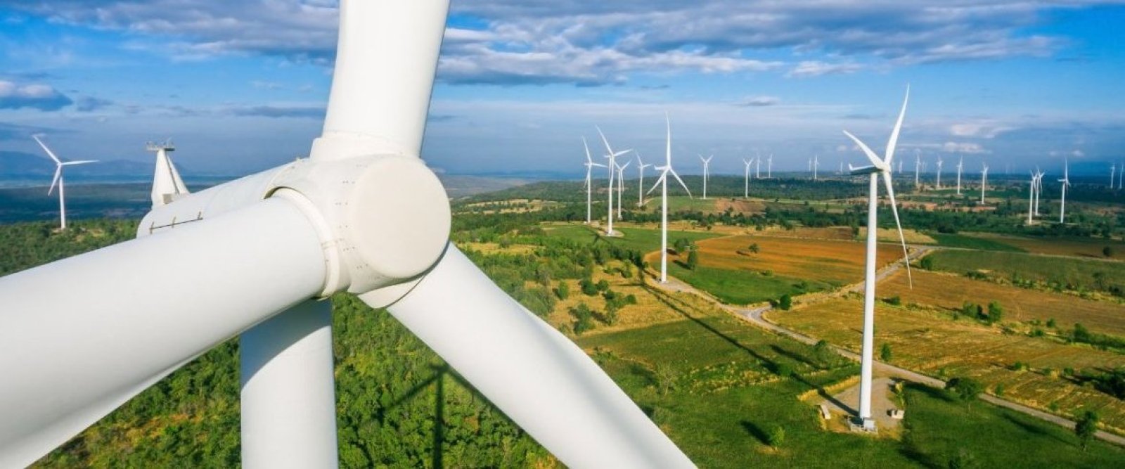 Capitales chinos apuestan por el potencial eólico de Los Lagos con proyecto de US$ 650 millones en Los Muermos