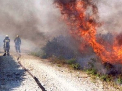 Puerto Montt activa plan preventivo por alerta amarilla ante temperaturas que bordearán los 30°C