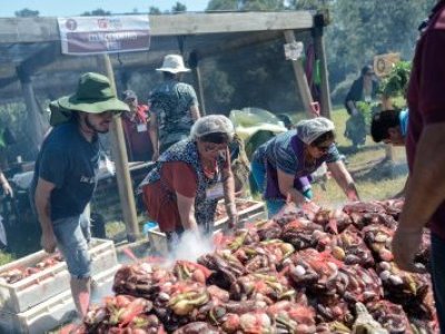 A semanas del evento: el municipio de Calbuco pone en duda realización del “Curanto más grande del mundo”
