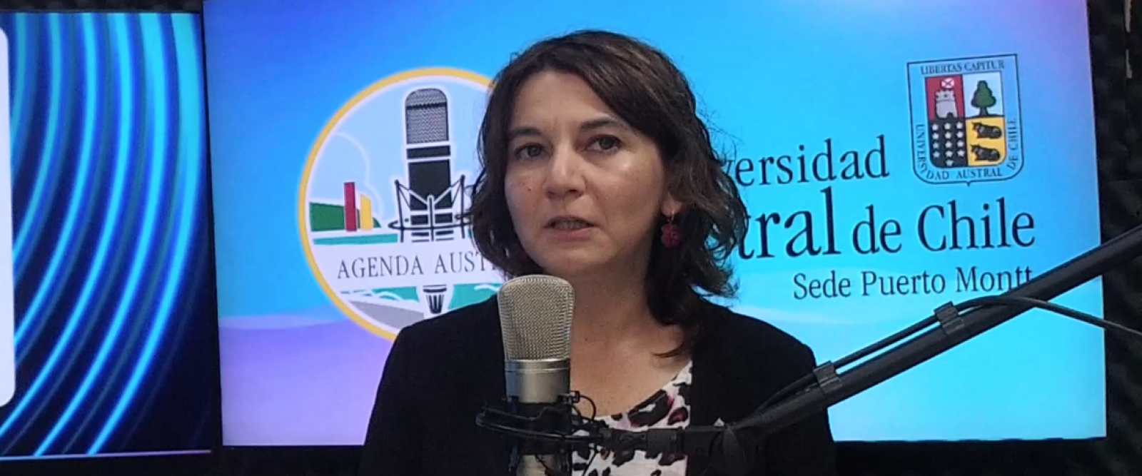 Admisión UACH 2026: vicerrectora Sylvia Soto detalla plazos, apoyo presencial y el sello “territorial” de la sede Puerto Montt