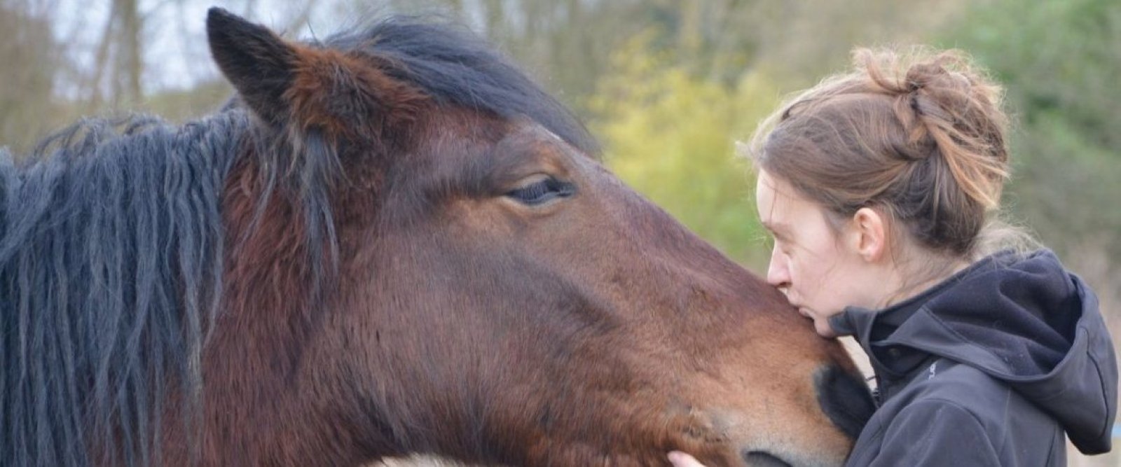 Equinoterapia del Sur en Puerto Varas: cómo la terapia con caballos mejora la salud física y emocional
