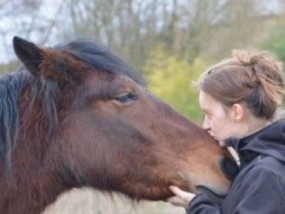 Equinoterapia del Sur en Puerto Varas: cómo la terapia con caballos mejora la salud física y emocional