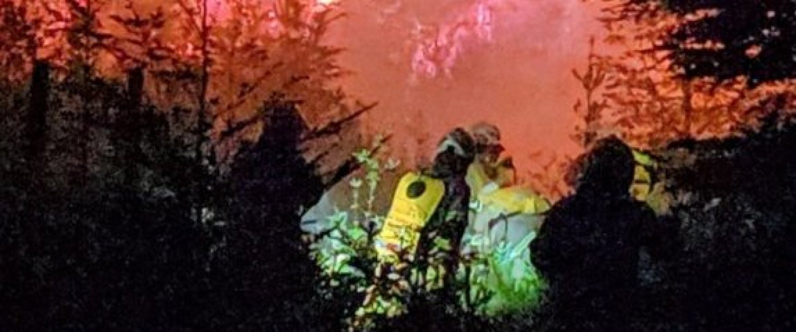 Incendio intencional en Viveros de Alerce: Municipio de Puerto Montt presentará querella criminal