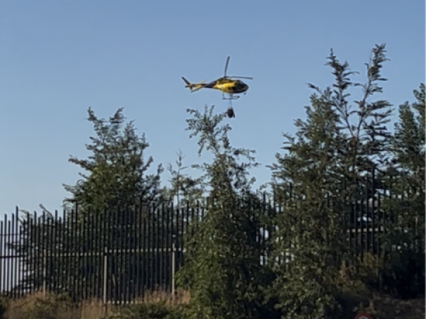 Puerto Montt refuerza prevención de incendios forestales: Municipio activa Cogrid y triplicará cortafuegos