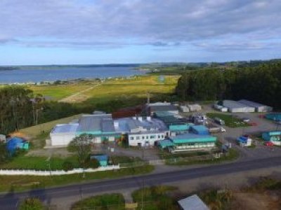 Histórica planta Chilolac cierra en Ancud tras 56 años y afecta a más de 130 familias