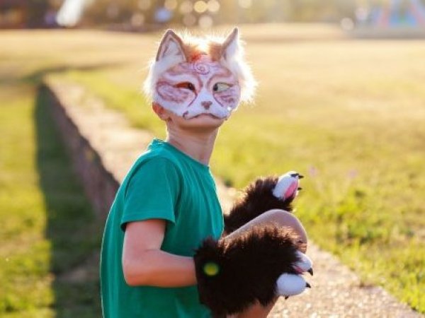 “Con la cola entre las piernas”: junta Therian en Puerto Varas terminó sin asistentes