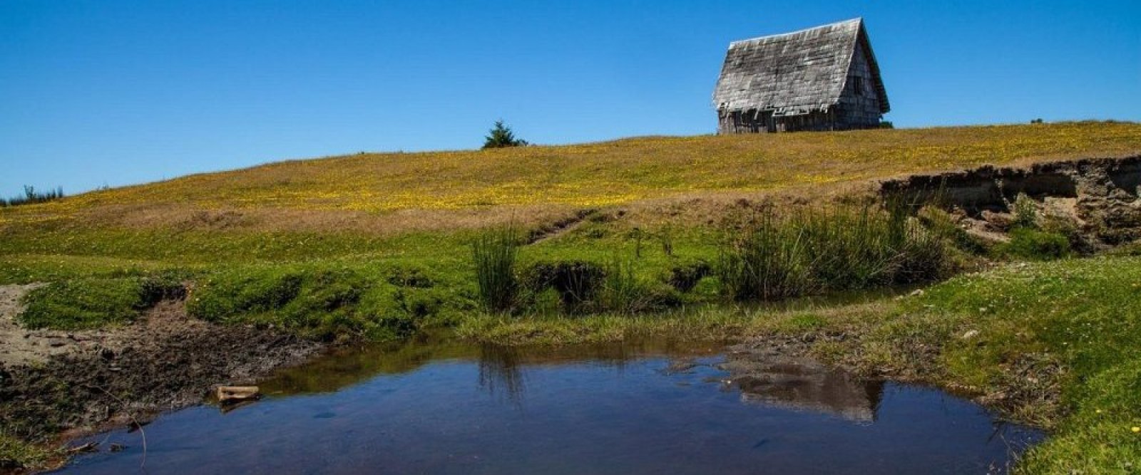 Golpe a la historia: Monte Verde podría no ser tan antiguo como se creía
