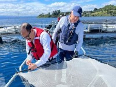 Garware lanza en AquaSur 2026 la red lobera Max Pro X18 y refuerza su apuesta por una salmonicultura más eficiente y sostenible