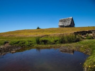 Golpe a la historia: Monte Verde podría no ser tan antiguo como se creía