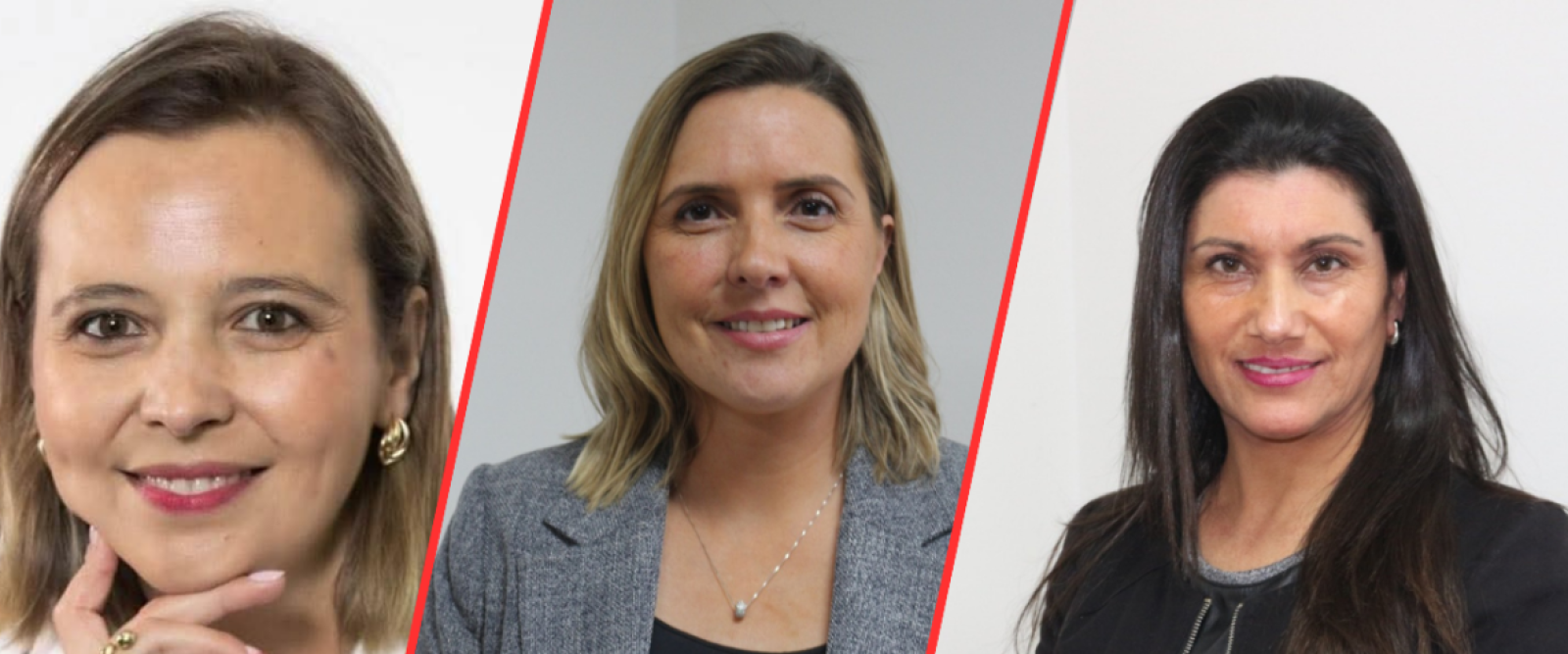 Avanzan los nombramientos en Los Lagos: Gobierno de Kast define seremis clave en Educación, Salud y Medio Ambiente