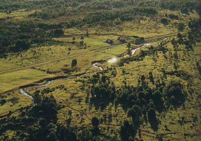 Grave denuncia en Monte Verde: investigadores habrían usado permisos falsos para excavar