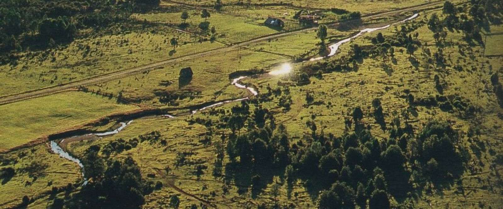 Grave denuncia en Monte Verde: investigadores habrían usado permisos falsos para excavar