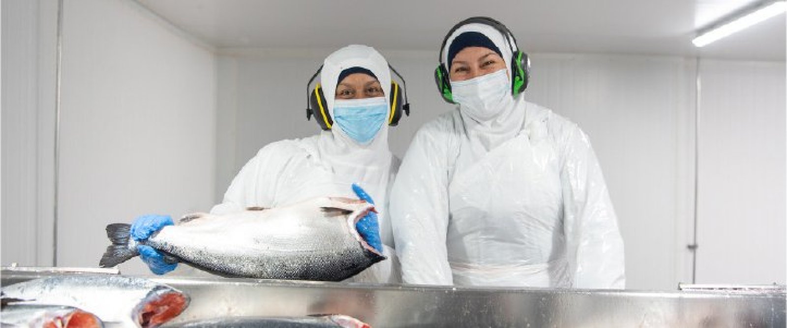Por primera vez: este 26 de mayo se conmemora el Día del Trabajador del Salmón en Chile