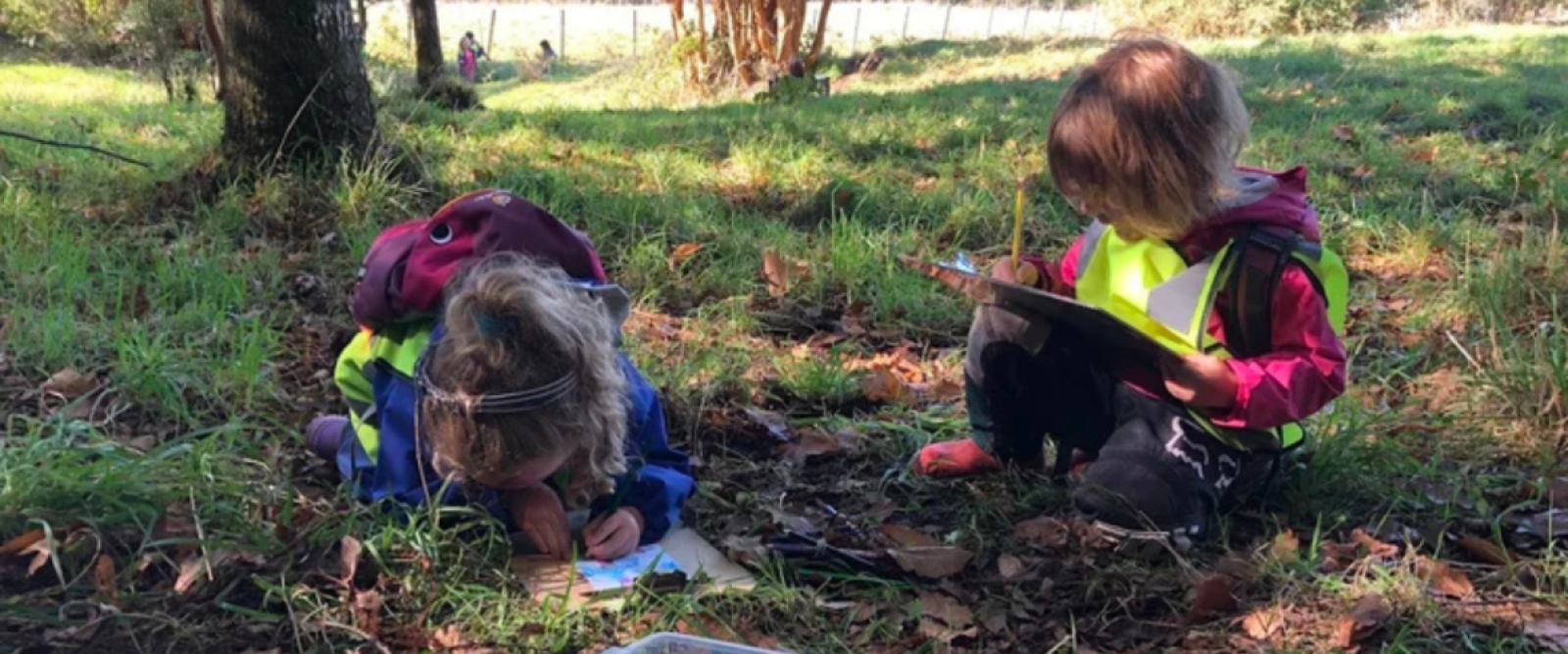 Forest School Chile impulsa en Puerto Varas un innovador modelo educativo que integra naturaleza, aprendizaje y desarrollo integral