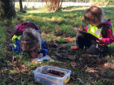 Forest School Chile impulsa en Puerto Varas un innovador modelo educativo que integra naturaleza, aprendizaje y desarrollo integral