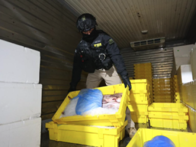 Exdirector de Sernapesca entre los detenidos por organización criminal que operaba en Los Lagos y Los Ríos