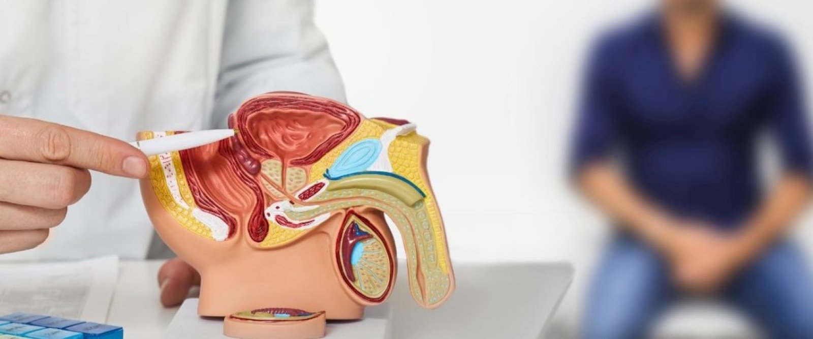 Cáncer de próstata: especialista llama a hombres de Los Lagos a controlarse desde los 45 años