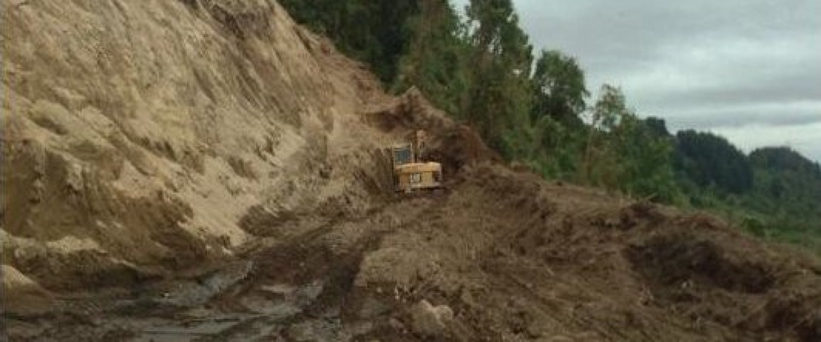 Llanquihue: Construyó 87 parcelas en zona protegida y ahora enfrenta multa de $3.800 millones por daño ambiental