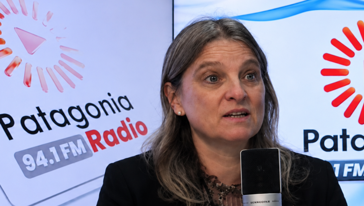 /por-que-no-despega-la-economia-en-los-lagos-seremi-apunta-a-la-falta-de
