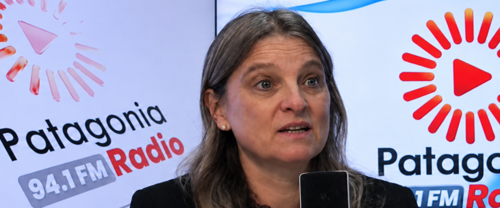 ¿Por qué no despega la economía en Los Lagos? Seremi apunta a la falta de inversión y empleo