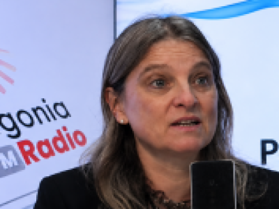 ¿Por qué no despega la economía en Los Lagos? Seremi apunta a la falta de inversión y empleo